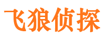 河间寻人公司